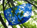 Die europäische Flagge hängt inn einem Baum